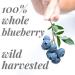 powbab Dried Wild Blueberries - 100% Whole, Unsweetened, Keto, Gluten-free, Vegan - Canada Grown, No Sugar Added, No Sunflower Oil or Apple Juice Concentrate, Sulfite Free - Buy Online on SooperMarket.com