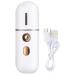 Dacvgog Portable Facial Steamer Mini USB Facial Humidifier Nano Facial Sprayer Spray Machine