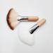 FRCOLOR 4pcs Fluffy Makeup Brushes Set - Soft Short Handle Fan Brushes for Facials & Makeup Tools - Assorted Colors - Buy Online on SooperMarket.com