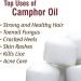 Camphor Oil (Cinnamonutn camphora) 100% Natural Pure Undiluted Uncut Carrier Oil 100ml with Dropper Camphor 100 ml with dropper - Buy Online on SooperMarket.com