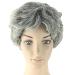 Buy Women's Grey Short Wavy Daily Cosplay Wig | Stylish & Comfortable | International Shipping - Buy Online on SooperMarket.com