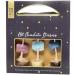 Cocoa Tree Hot Chocolate Stirrer - Savor the Sweetness - Buy Online on SooperMarket.com
