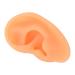 Rubber Fake Ear Model for Jewelry Display and Piercing Practice (Right Ear) - Buy Online on SooperMarket.com
