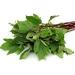 Fresh Gongura leaves Bunch | Single Bunch | Vegetarian | Puntikura Leaf | Pulicha Keerai | Fresh Gongura leaves | High Source | Indian Origin | Approx 200G - Buy Online on SooperMarket.com