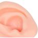 Practice Ear Model Soft Elastic Jewelry Display 1 Pair Ear Model for Beginner for Piercing Salon(Light Skin Color) - Buy Online on SooperMarket.com