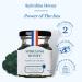 Spirulina Honey by Les Abeilles de Malescot - 4.4 oz | Natural Immune Support & Nutrient Rich - Buy Online on SooperMarket.com