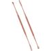 2 pcs Earwax Removal Tool Ear Cleaning Tool Stainless Steel Earwax Removal Tool Spiral Ear Pick Canal Cleaner Ear Wax Removal Kit Ear Wax Remover Rose Gold Attractive and Fashion