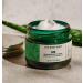 The Body Shop Aloe Soothing Day Cream 1.7 oz - Vegan Moisturizer for Sensitive Skin - Buy Online on SooperMarket.com