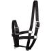 Adjustable Black Foal Halter for Colts, Fillies, and Miniature Horses by HORZE - Buy Online on SooperMarket.com