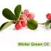 Crysalis Wintergreen (Gaultheria Procumbens) Oil |100% Pure & Natural Undiluted Essential Oil Organic Standard|for Undiluted Therapeutic Grade |Aromatherapy Oil| for All Skin Types- 30ml with Dropper - Buy Online on SooperMarket.com