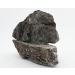 Natureholic Hardscape Klebeset - Practical Adhesive Set for Aquarium Stones Gray 3-in-1 with Cotton | International Shipping Available - Buy Online on SooperMarket.com