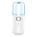 Baluue Nano Water Replenishing Instrument Handheld Steamers Steamer Portable Face Humidifier White Plastic
