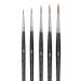 Winsor & Newton Series 7 Kolinsky Sable Brush - Pointed Round  Set of 5