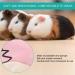 Small Pet Elizabeth Collar Protective Circle Nursing Ring Lightweight Elizabethan Collar for Guinea Pigs and Rabbits Pink - Buy Online on SooperMarket.com