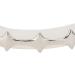 Irregular Hip Hop False Tooth Set - Shiny Silver Dental Accessories for Halloween and Festivals | Unique Mouth Decorations - Buy Online on SooperMarket.com