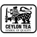 CENVEL Pure Green Tea Loose Leaf | 100% Natural and Fresh Harvest | Detox Loose Leaves Tea | Ceylon Green Tea | Single Estate Tea (500g) - Buy Online on SooperMarket.com