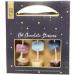 Cocoa Tree Hot Chocolate Stirrer - Savor the Sweetness - Buy Online on SooperMarket.com