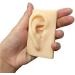 Artificial Human Pattern Silicone Ear - Silicone Simulation Ear for Micro Plastic Surgery Module Piercing Ear Piercing Teaching Demonstration - Buy Online on SooperMarket.com