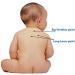 KONGDY Cough Patches Relieves Discomfort Caused by Coughing Honey Sticker for Adult Child (6) - Buy Online on SooperMarket.com