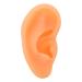 Soft Lifelike Silicone Flexible Left Ear Display Mould for Hospitals - Buy Online on SooperMarket.com