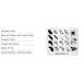 Alexnailart Nail Art Stamping Plate FA015 - Feathers Fashion Design Template - Buy Online on SooperMarket.com