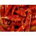 Buy Bremer Gew rzhandel Tianjin Chilis - Whole Slightly to Medium Hot Perfect for Cooking & Pickling - 50g Pack - Buy Online on SooperMarket.com