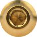 Wanyifa Titanium M5x12mm Bicycle Water Bottle Cage Bolts with Washers - Pack of 4 Gold - Buy Online on SooperMarket.com