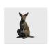 2 x 'Kangaroo' Microfiber Lens/Glasses Cleaning Cloths (LC00024978)
