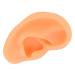 Soft Lifelike Silicone Flexible Left Ear Display Mould for Hospitals - Buy Online on SooperMarket.com