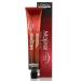 L'Oreal Professionnel Color Majirel Permanent Haircolor Number 10.21