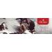 Old Spice Wolfthorn Deo Stick 50ml - Long-lasting Scent for Men - Buy Online on SooperMarket.com