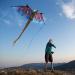 WindNSun Super Size 3D Blue Dragon Kite | 76 Wide Ripstop Nylon | Glass Eye Design - Buy Online on SooperMarket.com