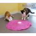 Blackhole Catch The Tail Cat Toy Interactive Play-Catch Electric Rotating Feather Motion Automatic Best Undercover Mouse Under Blanket Cat Toy - Buy Online on SooperMarket.com