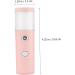 Healeved Facial Humidifier Mini Humidifier Beauty Spray Water Meter Facial Mist Sprayer Abs - Buy Online on SooperMarket.com