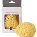Kyte BABY Natural Sea Sponge 4-5 Inches | Gentle and Eco-Friendly Bath Sponge - Buy Online on SooperMarket.com