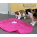 Blackhole Catch The Tail Cat Toy Interactive Play-Catch Electric Rotating Feather Motion Automatic Best Undercover Mouse Under Blanket Cat Toy - Buy Online on SooperMarket.com