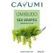 CAVUMI Sea Grapes 20g - Crunchy Seaweed Snack | Umibudo Green Caviar for International Shipping - Buy Online on SooperMarket.com