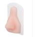 Practice Nose Model Silicone Flexible Display Nose Model Simulated for Hospital for Doctor - Buy Online on SooperMarket.com