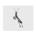 x Praying Mantis Microfiber Cleaning Cloths (LC00026512)