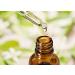 Shikakai Essential Oil 100% Pure & Natural - Undiluted Cold Pressed - for Aromatherapy Premium Oil Therapeutic Grade - 50 ML with Dropper Shikakai 50 ml (Pack of 1) - Buy Online on SooperMarket.com