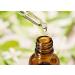 100% Pure Salvia Bhringraj Oil - Undiluted Cold Pressed - Therapeutic Grade Aromatherapy & Skin Care Oil (3.38 Fl Oz - Buy Online on SooperMarket.com