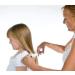Creaclip Hair Cutting Tool | Precision Haircutting Aid & Stencil for Perfect Ponytails | Shop Internationally - Buy Online on SooperMarket.com