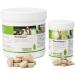 Plantavet Plantahepar 200mg - 200 Tablets for Small Animals | Supports Pancreatic & Liver Metabolism | Quality Supplementary Feed - Buy Online on SooperMarket.com