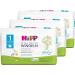 Hipp Babysanft diapers Newborn Carry size 1 3x24 pcs. (72 pieces) 24 pieces (pack of 3)