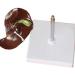 Human Liver Pathological Model with Base On Support Tool Study On Medical Model Internal - Buy Online on SooperMarket.com