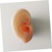 Silicone Ear Models for Ear Picking and Display - 1 Pair - Buy Online on SooperMarket.com