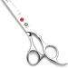 Purple Dragon 5-10 Inch Sharp Edge Hair Cutting Shears with Bag - Ideal for Pet Grooming - 8 Inch - Buy Online on SooperMarket.com