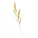 MAGICLULU Simulated Ears of Corn Artificial Wheat Ears Stalks Hand Decor Dry Wheat Grass Fruit Decor Home Decoration Wheat Decoration Wheat Ears Dried Flowers Paddy Iron Ornaments Golden 75.00X12.00X2.00CM