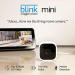 Certified Refurbished Blink Mini  Compact indoor plug-in smart security camera, 1080 HD video, night vision, motion detection, two-way audio, Works with Alexa  2 cameras