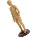 48Cm Model Anatomy Professional Medical Acupuncture Female with Meridian Points Soft Vinyl Material - Buy Online on SooperMarket.com